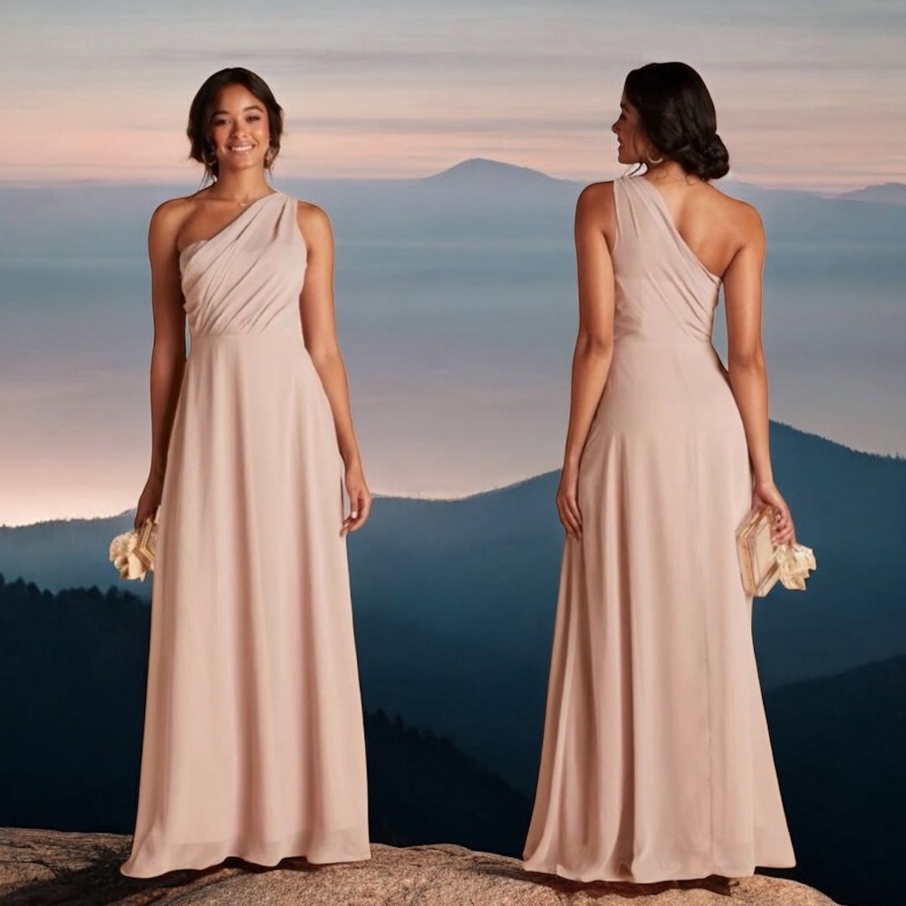 NEW Birdy Grey Kira One Shoulder Chiffon Bridesmaid Dress in Taupe Size Small